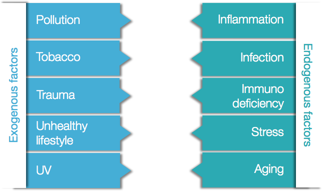 oxidative stress